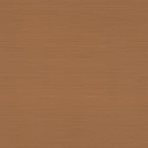 FS1116