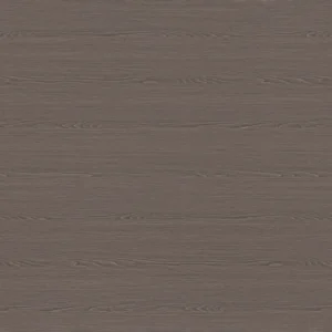 FS1119