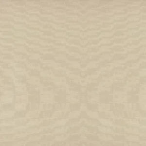 FS1305